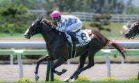 【新馬/函館5R】武豊 クリダームがデビューV！インゼル初陣飾る