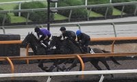 【ラジオNIKKEI賞想定騎手】サトノヘリオスは岩田望来騎手、ボーンディスウェイは石橋脩騎手