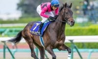 【ラジオNIKKEI賞予想】飛躍のきっかけ掴みたい3歳馬が覇を競う