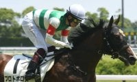 【次走】プロトポロスは小倉2歳Sへ 単勝1.4倍の圧倒的支持に応えて新馬戦快勝