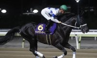 【次走】帝王賞2着のチュウワウィザードはJBCクラシックからチャンピオンズCへ