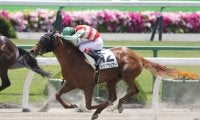 プロキオンＳで高額配当再び!? 小回りのダート戦を得意とする２頭の穴馬に要注意