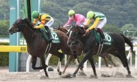 小倉ダート1700mに向く注目の血統構成とは？