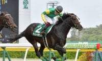 【函館記念出走馬・騎手確定】サンレイポケット＆鮫島克駿騎手、マイネルウィルトス＆M.デムーロ騎手など16頭