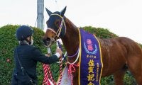 【盛岡・マーキュリーC出走予定馬】JRAケイアイパープル、川崎ノーヴァレンダら
