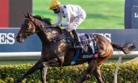 【海外競馬】ゴールデンシックスティが2シーズン連続で香港年度代表馬に輝く 