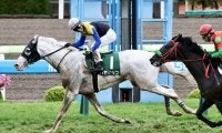 【函館記念】白毛馬 ハヤヤッコが重賞2勝目