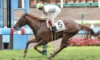 【新馬/函館5R】ハービンジャー産駒 キミノナハマリアがデビューV