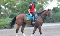 メジャーエンブレムの仔で初の牡馬 スワッグチェーンが三浦皇成騎手でデビュー/関東馬メイクデビュー情報