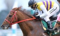 新種牡馬ネロの産駒が初勝利　19日門別3Rで後続に2秒差をつける圧勝
