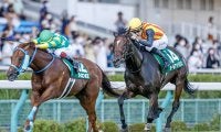 【アイビスSD想定】連覇狙うオールアットワンスは石川裕紀人騎手、2年連続2着ライオンボスは坂井瑠星騎手