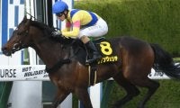 【先週のJRA抹消馬】OP3勝の逃げ馬リアンヴェリテ、重賞好走多数のウインイクシードなど