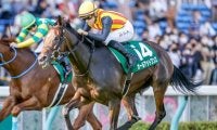 【アイビスSD出走馬・騎手確定】マリアズハート＆菊沢一樹騎手、オールアットワンス＆石川裕紀人騎手など18頭