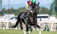 【JRA】グレートマジシャンが予後不良 1年2か月ぶりの復帰戦もゴール叶わず