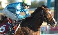重賞2勝馬オーシャンブルーが骨折のため安楽死　2012年有馬記念でゴールドシップと「ステイゴールド産駒ワンツー」