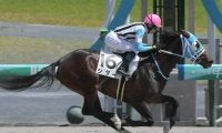 「荒れる」レースに変貌したレパードＳ。過去データから浮上した穴馬候補は４頭いる