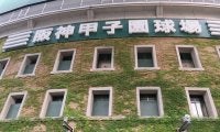 異端球児に厳しい甲子園…１球ごとに打席を変える「幻惑スイッチ打法」は受け入れられるか