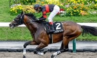 【AI予想・レパードS】あの馬が証明!? ホウオウルーレット重賞勝ちのシナリオ