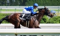 【レパードS予想】名馬に続け、出世レースの人気馬は苦戦傾向？