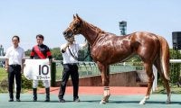 【次走】7馬身差で未勝利勝ちのスクーバーはヤマボウシ賞へ デビュー戦のリベンジなるか