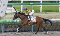 【盛岡・クラスターC出走予定馬】4連勝中ダンシングプリンス、3歳馬リメイクら