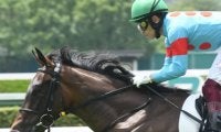 【次走】「薔薇一族」の2歳牝馬アロマデローサはききょうSへ　7月小倉の新馬戦を快勝
