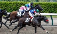 100円が187万円に！ 新潟8Rで人気薄の6枠2頭が激走