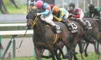 【北九州記念展望】サマースプリント4戦目、近年の好走傾向とは