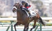 GI馬5頭が参戦、しかしAIが指名したのは重賞馬ではなく……？