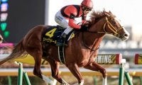 【札幌記念出走馬・騎手確定】ソダシ＆吉田隼人騎手、ジャックドール＆藤岡佑介騎手など16頭