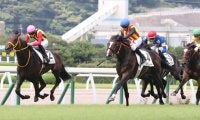 【新馬/小倉5R】ホー騎乗 バルサムノートが人気に応える