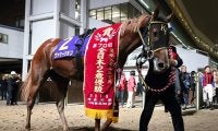 【川崎・スパーキングサマーC注目馬】JpnI覇者3頭が激突！ 川崎マイルで繰り広げられるアツい戦い