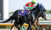 【次走】ユーバーレーベンは天皇賞・秋からジャパンカップを予定 昨年オークス以来のGI勝利へ
