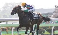 キーンランドＣは秋の大一番を目指す実績馬より、洋芝適性が高い伏兵２頭の一発に期待