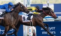 【仏G2・ドーヴィル大賞出馬表】22時55分発走！ ステイフーリッシュが海外3連勝に挑む