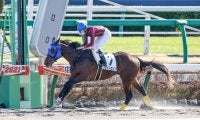 9月4日の競走中止、競走除外、疾病の一覧 横山琉人騎手の落馬負傷など/札幌・新潟・小倉