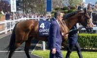 3歳馬コロエバスが予後不良に　イギリスでマイルG1を2勝