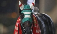 【大井・アフター5スター賞注目馬】10連勝中の上がり馬と重賞実績馬が激突　少数精鋭の豪華メンバー集う