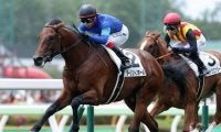 【京成杯AH出走馬・騎手確定】ダーリントンホール＆横山武史騎手、ファルコニア＆吉田隼人騎手など14頭
