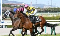 【京成杯オータムH予想】人気馬・トップハンデ馬共に苦戦傾向続くサマーマイルシリーズ最終戦