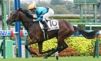 【セントライト記念登録馬】オニャンコポンなど13頭