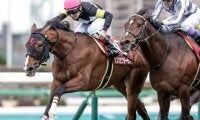 【AI予想・セントライト記念】実績馬VS上がり馬！ 人工知能が導き出した現時点での答えは…