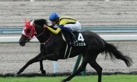 ローズＳはコース適正が高いディープインパクト産駒の良血馬、末脚が武器のオルフェーヴル産駒の２頭に期待