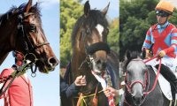 三冠馬の全弟がクラシックトライアル挑戦 青葉賞馬や京都新聞杯覇者も登場/神戸新聞杯想定馬