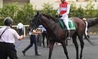 セントライト記念は多くの馬がマークする人気馬の前を行く「逃げる馬」の粘り込みに要注意
