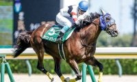 【阪神ジャンプS予想】舞台は中京競馬場3300mコース　先行力は不可欠な一戦