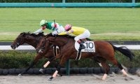 【中山4R新馬戦結果】キンシャサノキセキ産駒イルディヴィーノが逃げ切りV