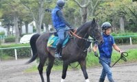 祖母は秋華賞馬ブラックエンブレム 良血馬ポーラライツがデビュー/関東馬メイクデビュー情報