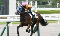 中山芝1200mと相性のいいダイワメジャー 今週末のカンナSに注目