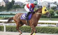 【浦和・オーバルスプリント注目馬】シャマルとティーズダンクが再戦、3歳馬リメイクも加わり激戦必至